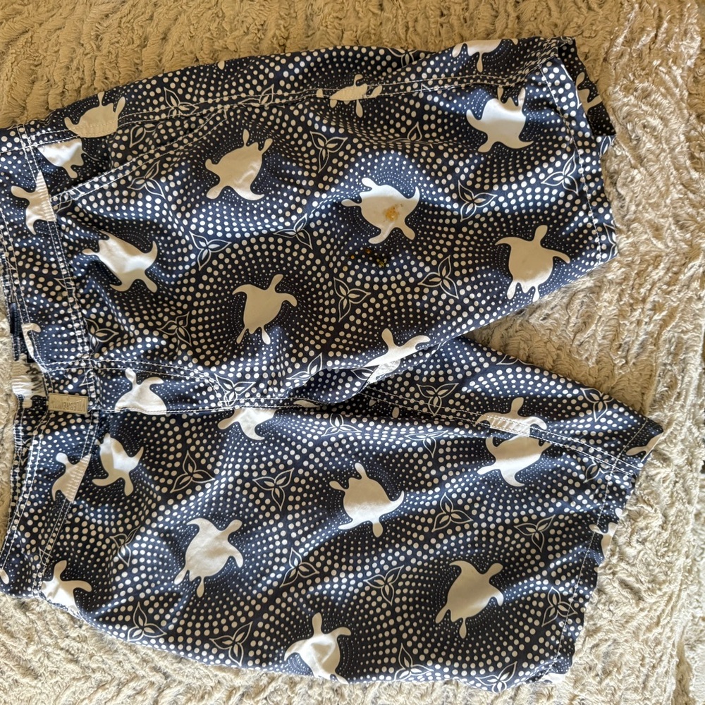 VILEBRIQUIN Mens board shorts